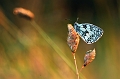 Demi deuil_09